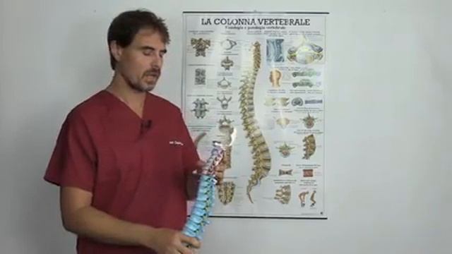 SENTIERO DEL BENESSERE 10 - CERVICALI - STEFANO BEDIN OSTEOPATA смотреть онлайн