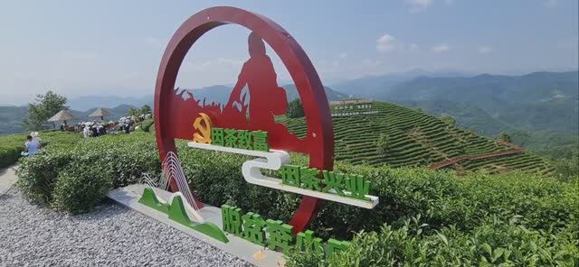 Чайная культура Китая_Плантации и производство чая - познавательное видео для детей