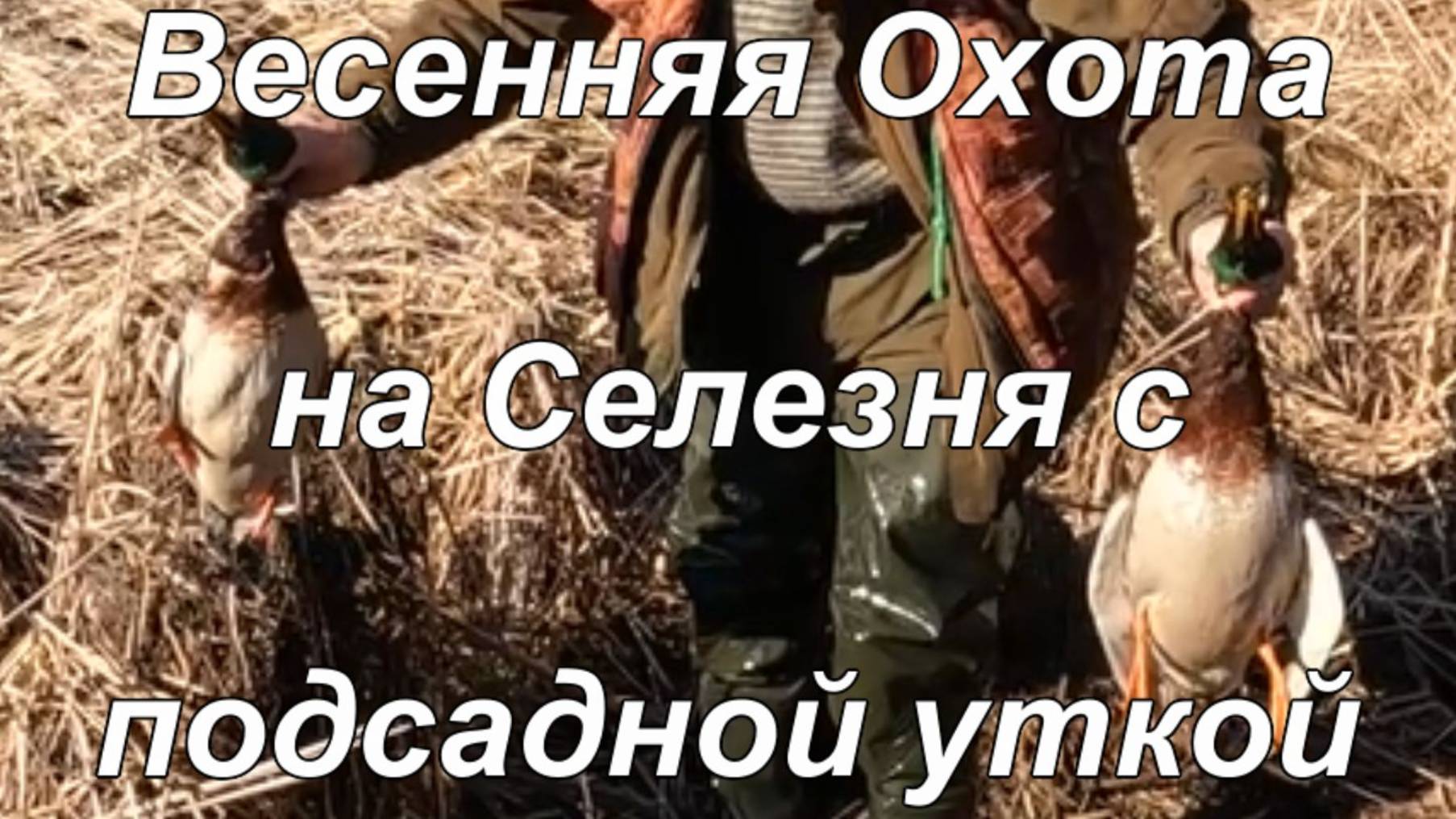 Весенняя Охота на Селезня с подсадной уткой. смотреть онлайн
