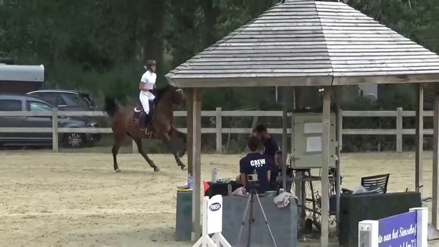 Castella Di Luna, 5 jarige Alken 09/08/2020 смотреть онлайн