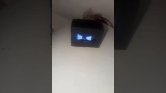 DIY Dasai Mochi  30animation