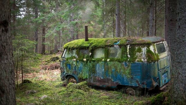 Forest Comfort V.2 (rain, Thunder)