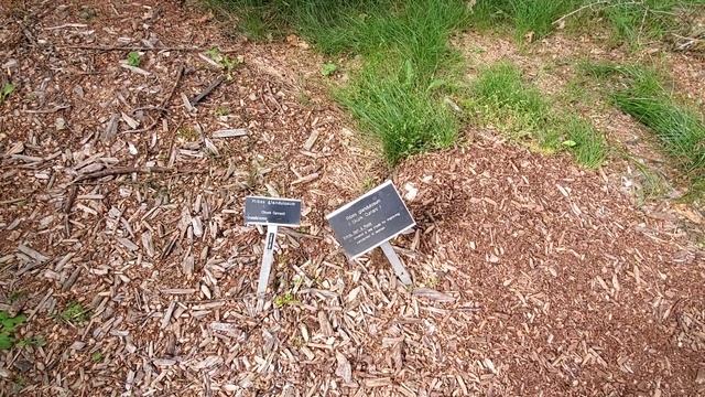 University of Alberta Botanic Garden смотреть онлайн