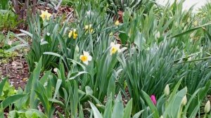 video_2025-04-03_14-15-06