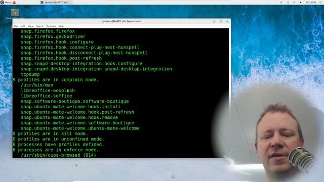 AppArmor Sucks Less! (Linux+ Objective 2.5.2) смотреть онлайн