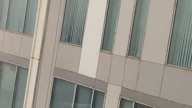 Brave man cleaning window glass of very tall buildings смотреть онлайн