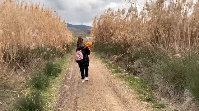 VLOG :розовы фламинго /Рождество / мои будни /ежедневный влог /жизнь в Греции / смотреть онлайн
