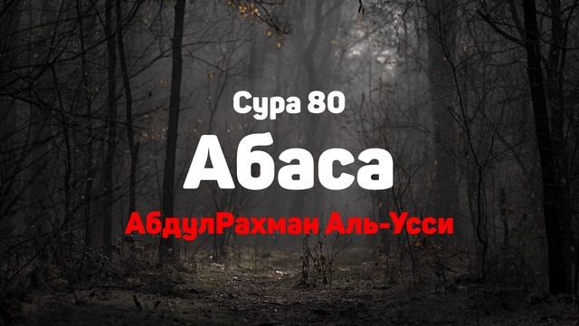 Сура 80 Абаса - АбдулРахман Аль-Усси