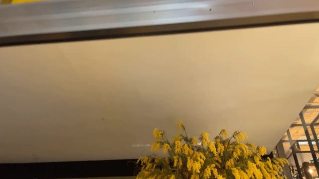 ИЗЫСКАННАЯ ЭЛЕГАНТНОСТЬ NIRVANA COSMOPOLITAN * Обзор Отеля смотреть онлайн