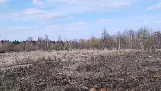 ЗУ :702 д. Мостки смотреть онлайн