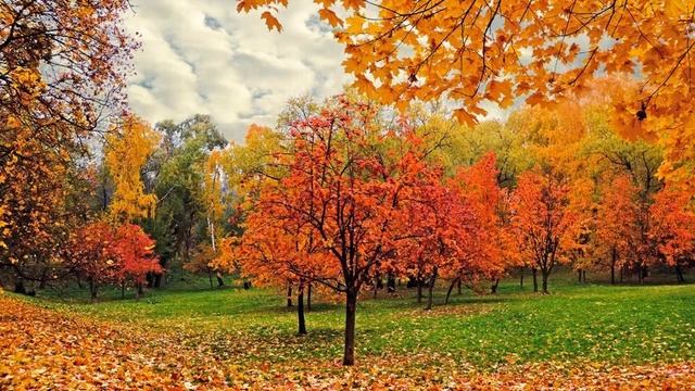 Путешествие осеннего листочка смотреть онлайн