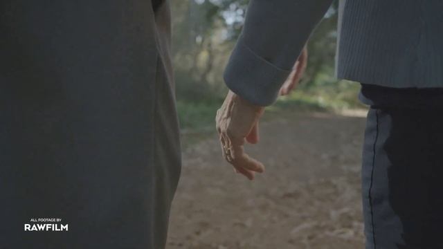 FREE Cinematic Video LUTs Download смотреть онлайн