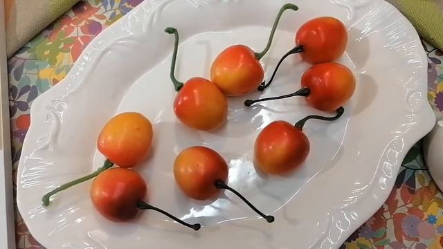 Предметы и вещи, каждый из которых принесет в дом деньги и удачу смотреть онлайн