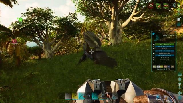 Abbiamo addomesticato mezza mappa! - Ark Survival Ascended Online pvp ep.14 ita смотреть онлайн