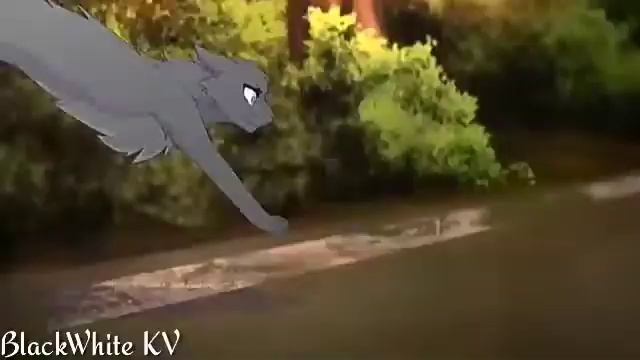 Коты воители - in the end смотреть онлайн