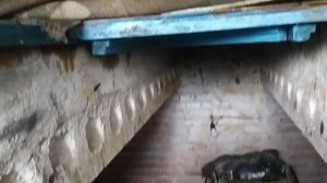 Замена антифриза Лада Веста