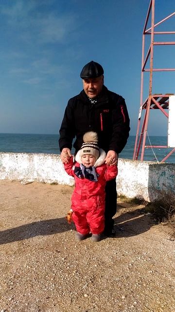 Тим с дедом смотреть онлайн