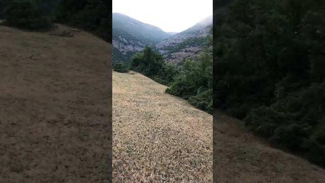 5 июня 2021 г. смотреть онлайн