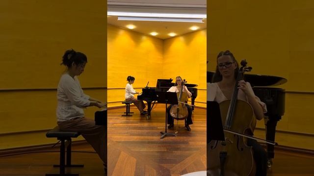 Brahms Cello Sonate I E Minor 1 Sats