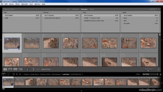 adobe lightroom Working with the Filmstrip смотреть онлайн
