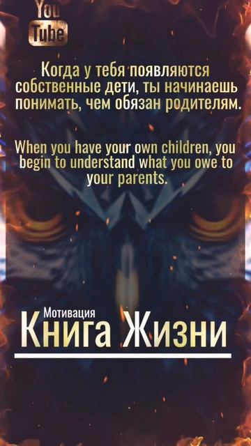 Книга Жизни, цитаты, золотые слова #мудрость #жизнь #психологиячеловека смотреть онлайн
