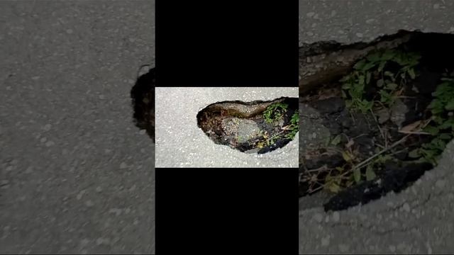 Детский лагерь Радуга смотреть онлайн