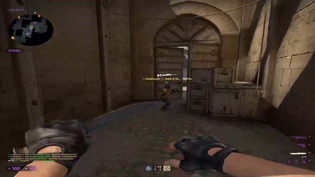 Звуки испуганного тюленя смотреть онлайн