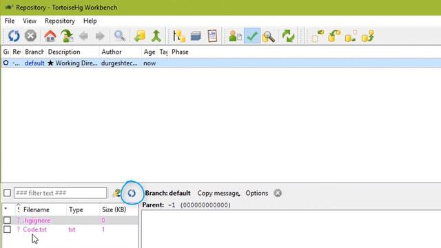 Easy version control system Mercurial Part - II смотреть онлайн