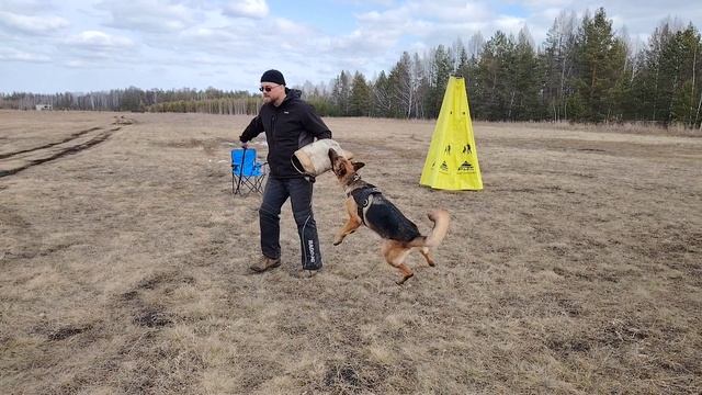 Tahlwind Wallishcer Sparta