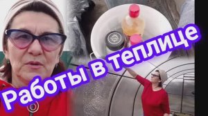Это важно! Весенние работы в теплице! Профилактика болезней!