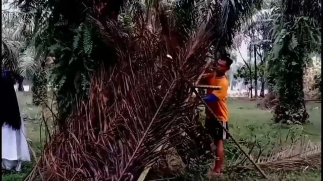 prank‼️prank kuntilanak siang bolong‼️ смотреть онлайн