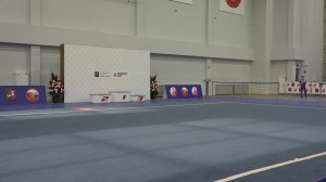 Чемпионат и первенство России по ушу (кунгфу-традиционное ушу, юнчуньцюань). г. Москва, 2025 г.