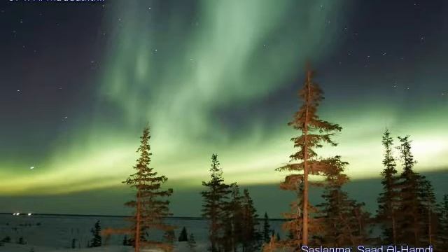 074. Сура Аль-Муддасхир
Прекрасное чтение Корана Чтец: Саадом Аль Гамиди смотреть онлайн