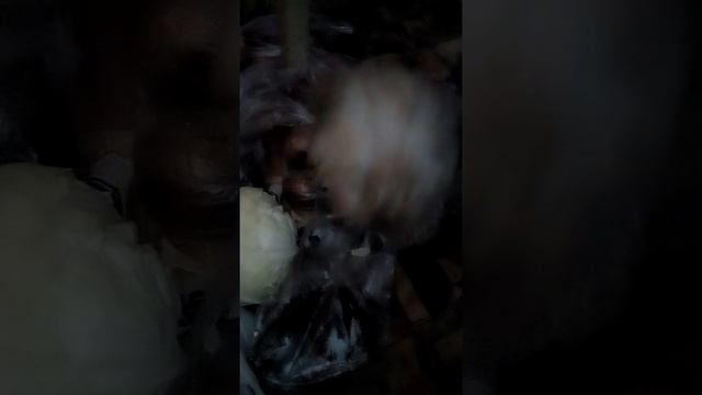 Голодающие поволжья смотреть онлайн