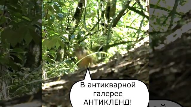 Шикарные фигурки фарфоровых попугаев в антикварной галерее Антикленд смотреть онлайн
