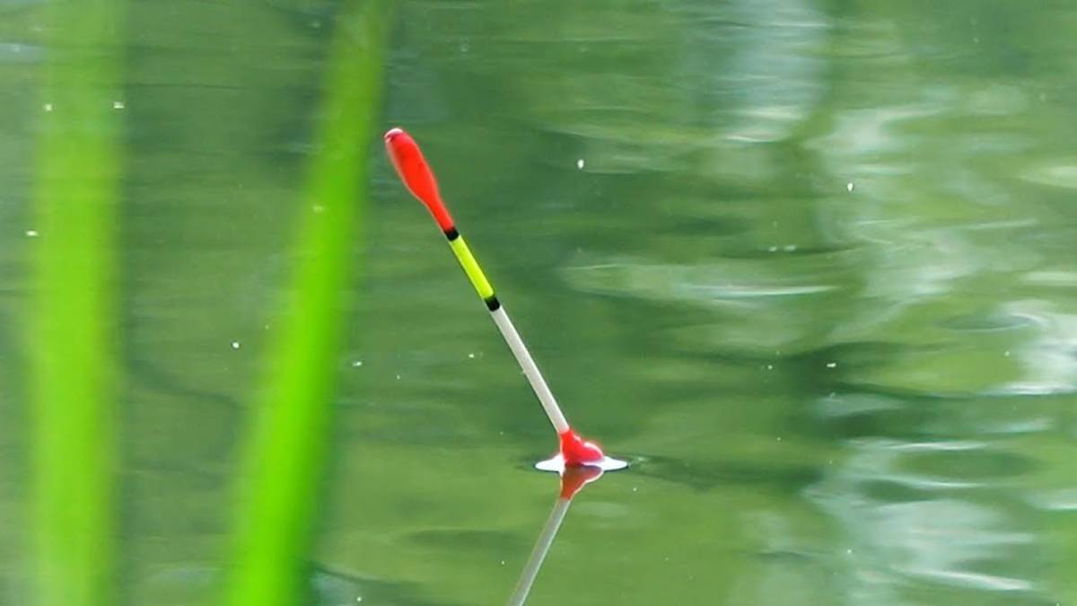 КАК он красиво КЛЮЁТ Поклёвки крупным планом! карась на поплавок 2025