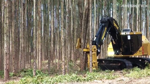Валочная головка Tigercat 5300 смотреть онлайн