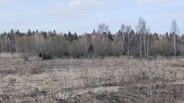 ЗУ :701 д. Мостки смотреть онлайн