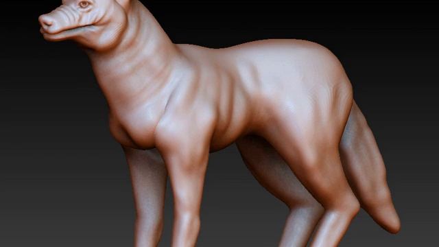3D Model of wolf zbrush Review смотреть онлайн