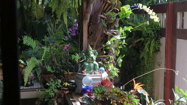 Garden Ambience 12 minutes HD 4K with a Dragonfly, Ganesha, and incense. смотреть онлайн