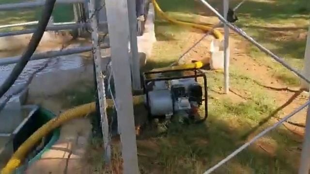 @Animal ticks control смотреть онлайн