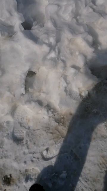 холодный снег #улица #холодный #снег #жизнь #весна #новоевидео
