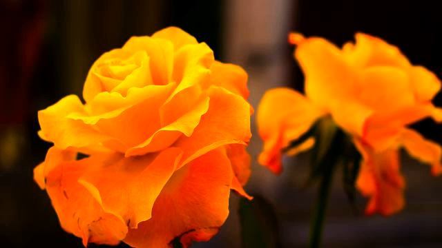 Свежая песня из itunes онлайн смотреть онлайн