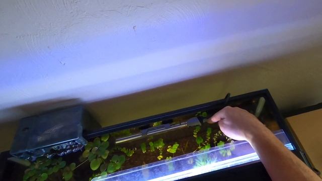 Fluval M Series Heater review смотреть онлайн