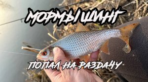 Мормышинг весной. Рыбка ожила после зимы. Поклевки за поклевкой.