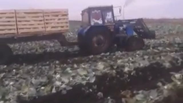 Мтз лучший трактор