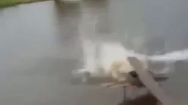 ПРИКОЛЫ 2015 МЕГА РЖАЧ! Неудачи Падения ! Подборка смотреть онлайн