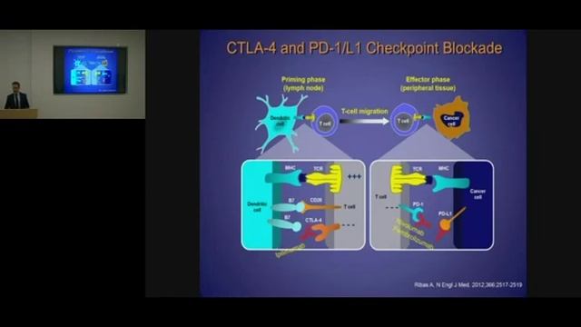 Systemic Therapy of Melanoma смотреть онлайн