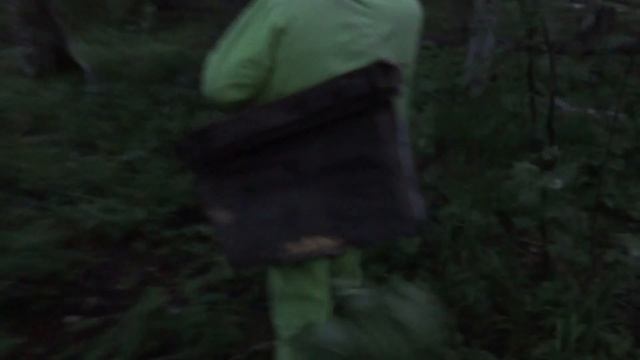 Пасека с нуля! Ловушки))) Часть 1 смотреть онлайн