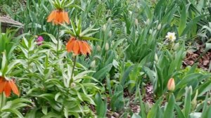 video_2025-04-03_14-15-12